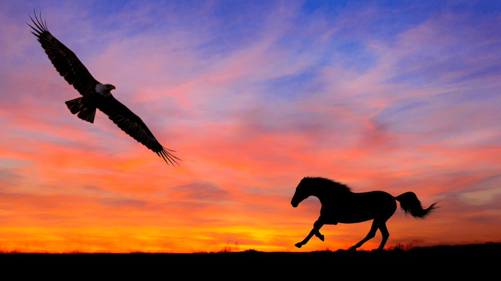 Eagle Horse Sunset